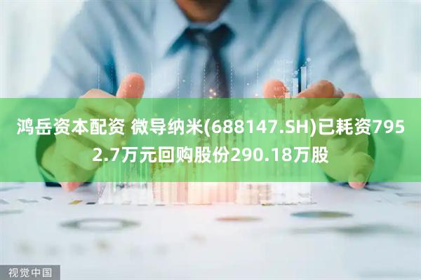 鸿岳资本配资 微导纳米(688147.SH)已耗资7952.7万元回购股份290.18万股
