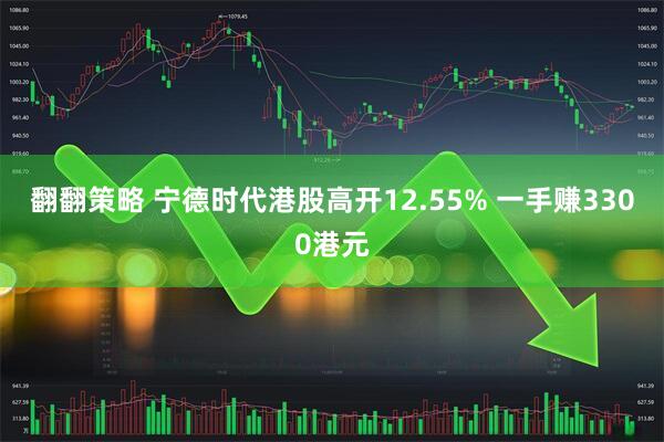 翻翻策略 宁德时代港股高开12.55% 一手赚3300港元