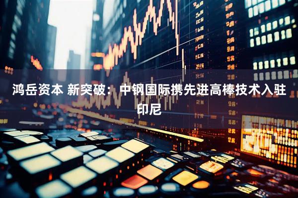 鸿岳资本 新突破：中钢国际携先进高棒技术入驻印尼
