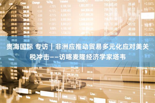 贵海国际 专访｜非洲应推动贸易多元化应对美关税冲击——访喀麦隆经济学家塔韦